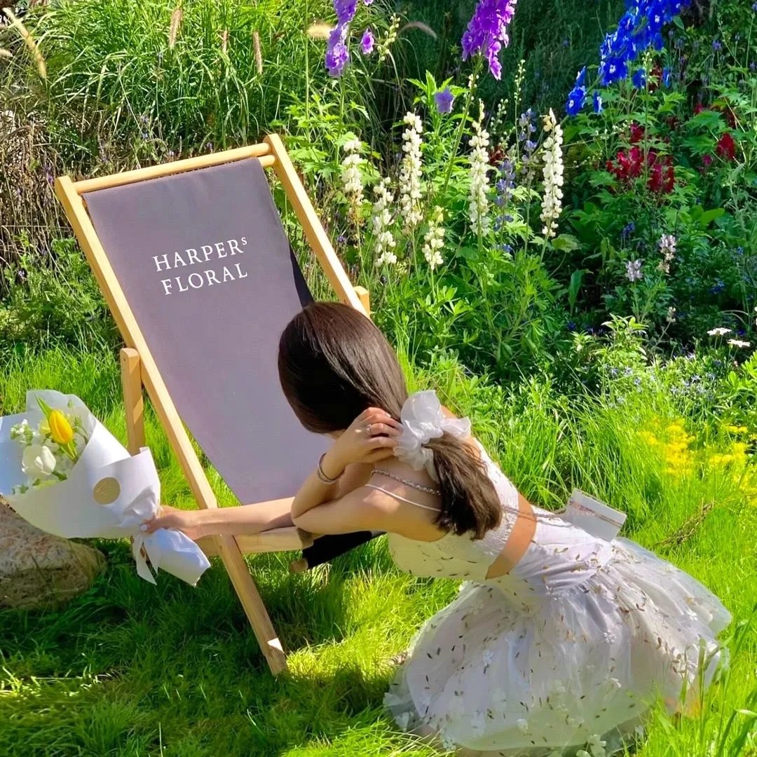 寒江不闻鹧鸪声